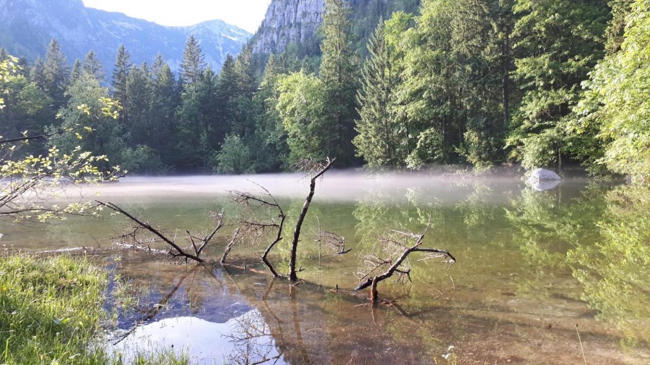 Haus Pilz Appartement Obertraun Buitenkant foto