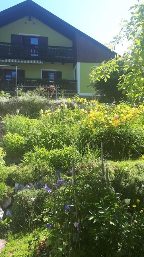 Haus Pilz Appartement Obertraun Buitenkant foto